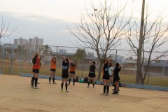 VSC_-1