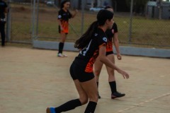 VSC_-29