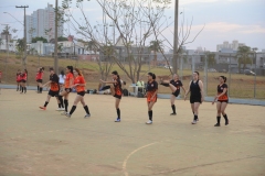 VSC_-4
