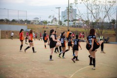 VSC_-8