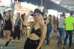 BVP_0766
