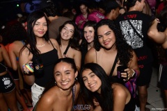 VIL2531