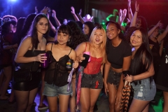 DSC03990