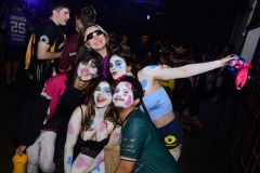 VIL4617