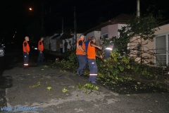 Forca_Tarefa_Limeira_Outubro_Vibe_Limeira_0004