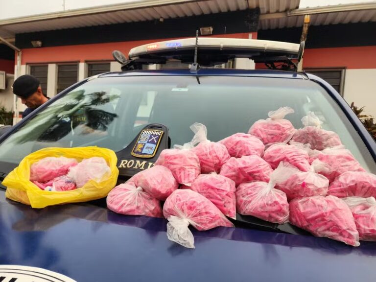 GCM Encontra 2.6 mil porções de drogas no Abílio Pedro; ninguém foi preso